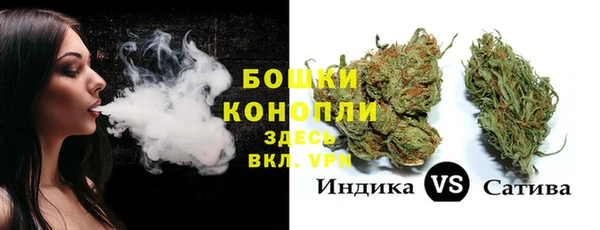 прущая мука Чекалин