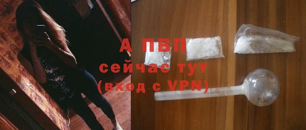 прущая мука Чекалин