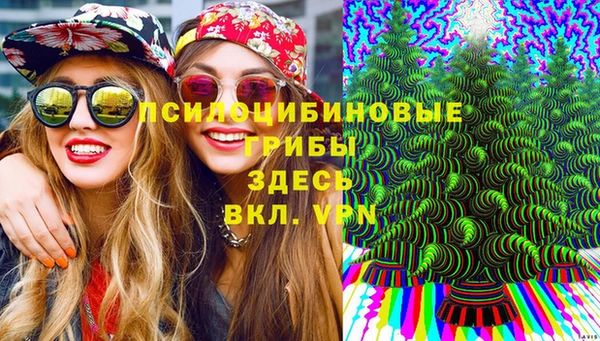 эйфоретик Чердынь