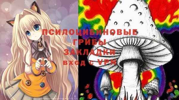 а пвп мука Чегем
