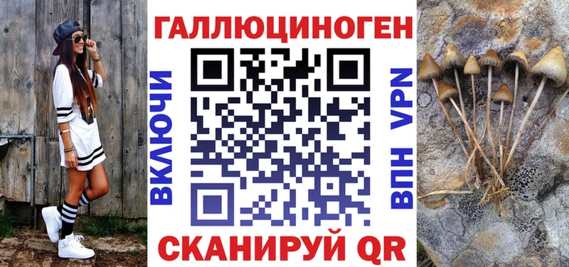 Галлюциногенные грибы Psilocybe Безенчук