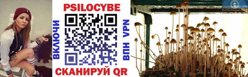 Псилоцибиновые грибы Psilocybine cubensis  Безенчук 